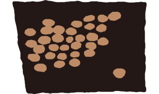 群れのなかに一頭のサイ