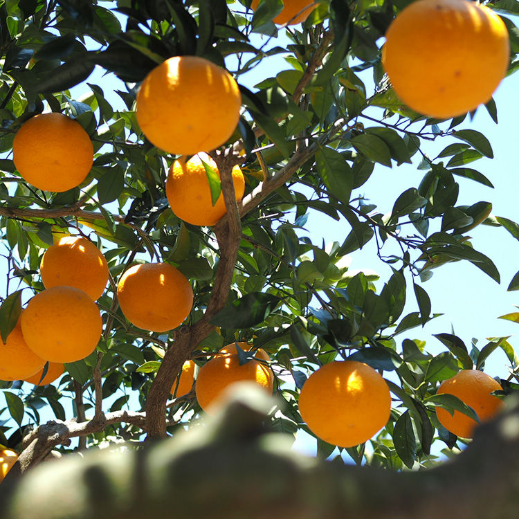 宿の周辺について